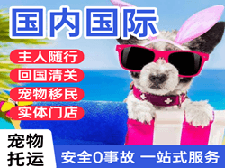 怀化芷江航空邮寄国际宠物托运 【国